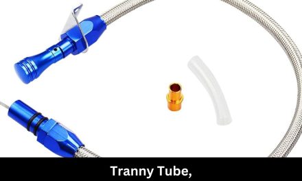 Tranny Tube, A Safe Haven for Diversity on the Internet